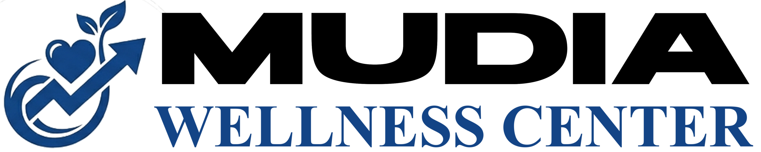 Mudia Wellness Center | Financial Mastery Meets Wellness Innovation | mudiawellnesscenter.com