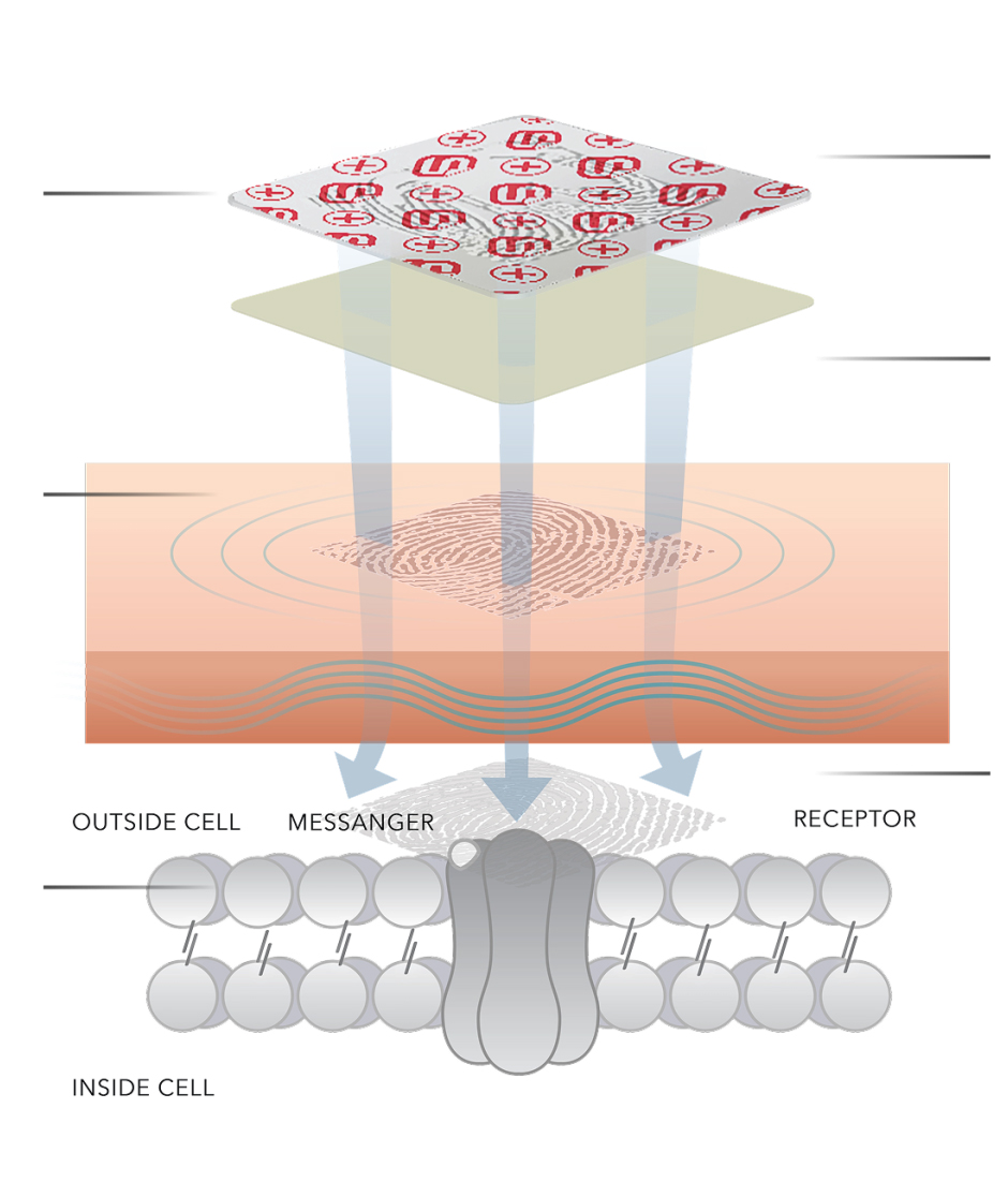 SuperPatch neurotechnology